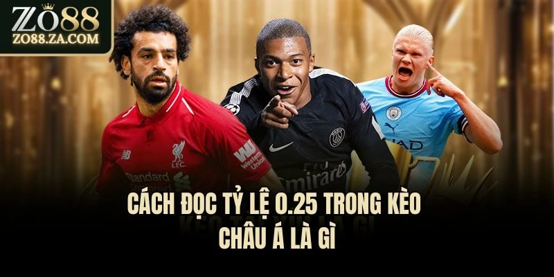 Kèo Châu Á Là Gì? 4 Loại Cược Phổ Biến Trên Thị Trường 2 Cách đọc tỷ lệ 0.25 trong kèo châu Á là gì
